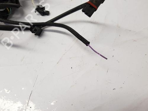 Cablaggio BMW 4 Coupe (F32, F82) M4 Competition | BP30650050E16 