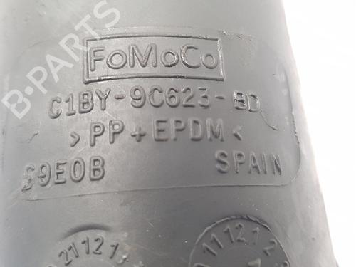 Pipe FORD FIESTA VI (CB1, CCN)  | BP22668531M125 