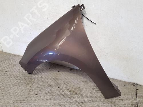 Left front fenders RENAULT SCÉNIC III (JZ0/1_) 1.5 dCi | BP27150789C41 