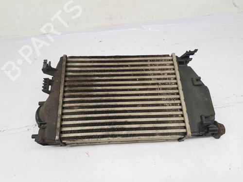 Ladeluftkühler für NISSAN QASHQAI II (J11, J11_) 1.5 dCi (110 hp) 30581101