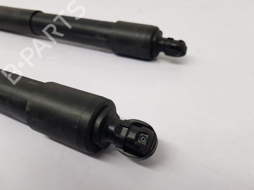 Tailgate lift support LEXUS UX (_AA1_, _AH1_, _MA1_) 250h (MZAH10) | BP30045252C138 