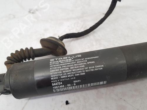 Tailgate lift support TESLA MODEL 3 (5YJ3) EV AWD | BP35746222C138  - Image 6