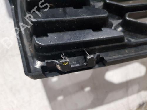 Grill NISSAN QASHQAI I (J10, NJ10) 1.6 | BP29984551C40