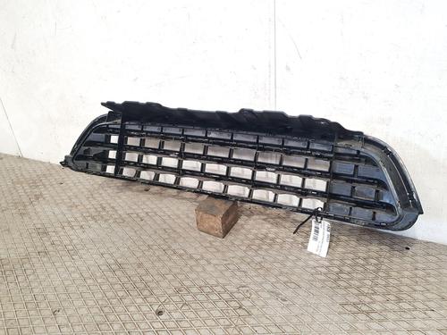 Grille MINI MINI COUNTRYMAN (R60) Cooper | BP25462451C40 