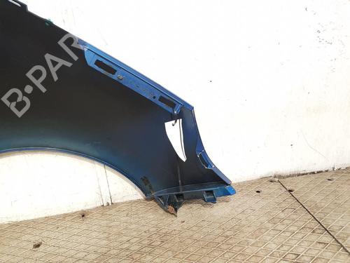 Left front fenders RENAULT SCÉNIC III (JZ0/1_) 1.6 16V (JZ0U, JZ1B) | BP28029563C41 