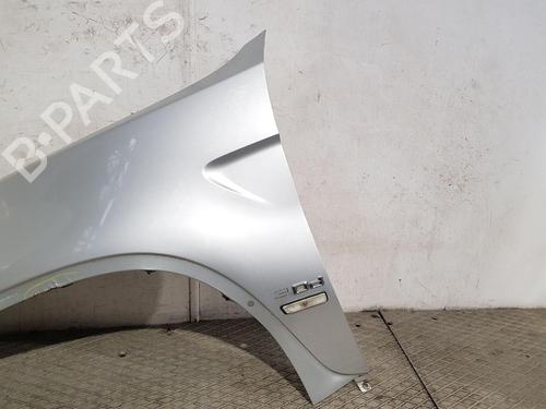 Left front fenders BMW X5 (E53) 3.0 d | BP29620215C41 