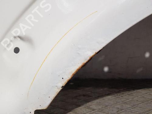 Right front fenders FORD TRANSIT CONNECT (P65_, P70_, P80_) 1.8 Di | BP29144053C42 