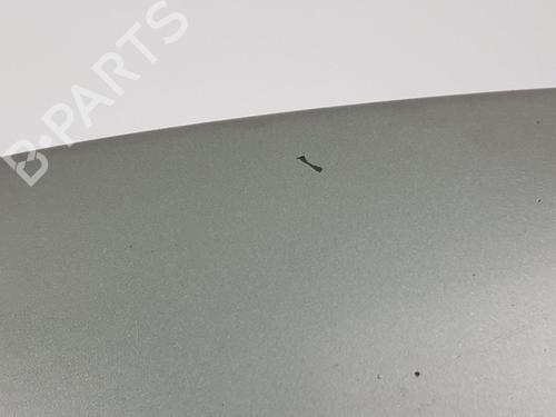 Left mirror BMW X3 (E83) 3.0 d | BP29620391C26 
