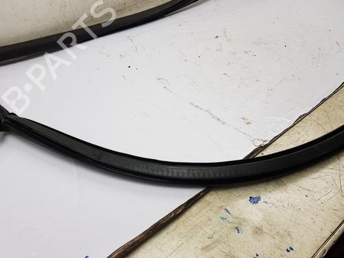 Rubber door seal AUDI R8 (4S3, 4SP) 5.2 FSI Plus quattro | BP22683408C142