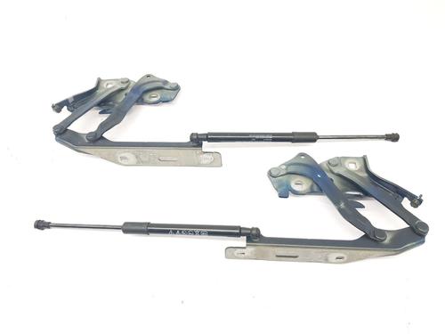 Used Hinge/Door check strap AUDI A4 B9 Avant (8W5, 8WD) RS4 TFSi quattro (450 hp) 30948668