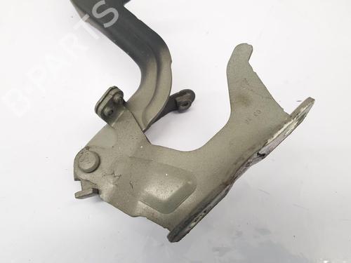 Hinge/Door check strap NISSAN JUKE (F15) 1.5 dCi | BP32127556C146 