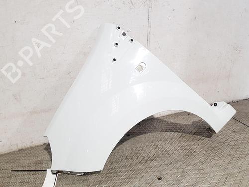 Left front fenders RENAULT TWINGO II (CN0_) 1.2 16V (CN04, CN0B) | BP29467573C41 