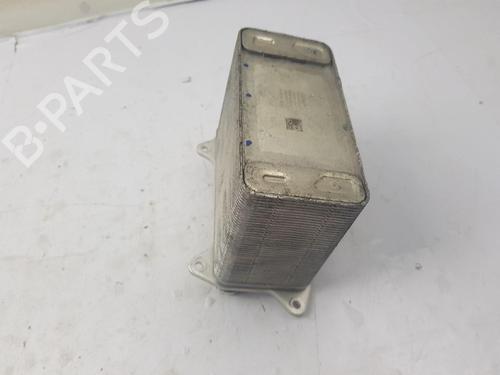 Other TESLA MODEL Y (5YJY) Long Range Rear-Wheel Drive | BP39072559O1 - Image 4