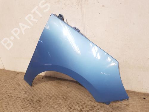 Right front fenders RENAULT SCÉNIC III (JZ0/1_) 1.5 dCi | BP25838954C42 