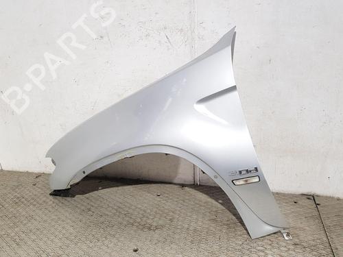 Left front fenders BMW X5 (E53) 3.0 d | BP29620215C41 