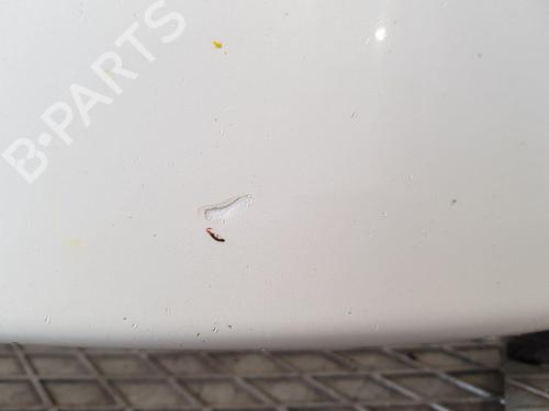 Front bumper BMW X1 (E84) sDrive 18 d | BP29900653C7