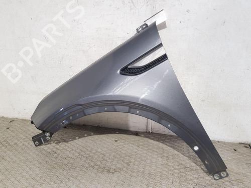 Left front fenders LAND ROVER DISCOVERY SPORT (L550) 2.0 D 4x4 | BP29642147C41 