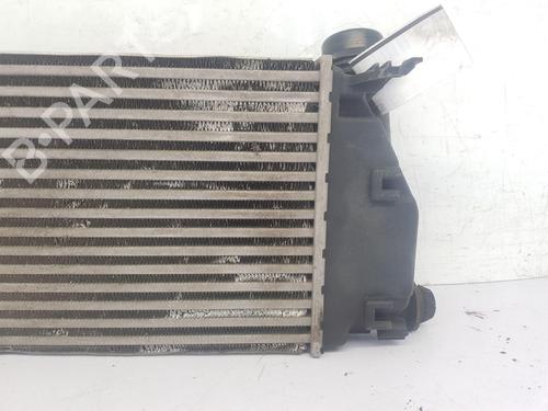 Intercooler NISSAN QASHQAI II SUV (J11, J11_) 1.6 dCi | BP28137115M30 