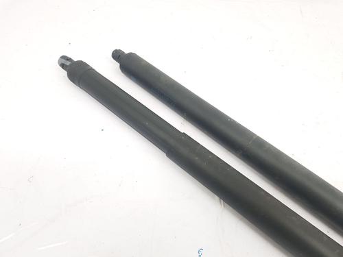 Tailgate lift support MERCEDES-BENZ GLC Coupe (C253) 250 d 4-matic (253.309) | BP22794374C138 