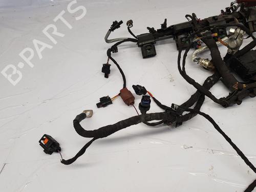 Wiring harness AUDI A3 Sportback (8YA, 8YF) 30 TDI | BP31910312E16 