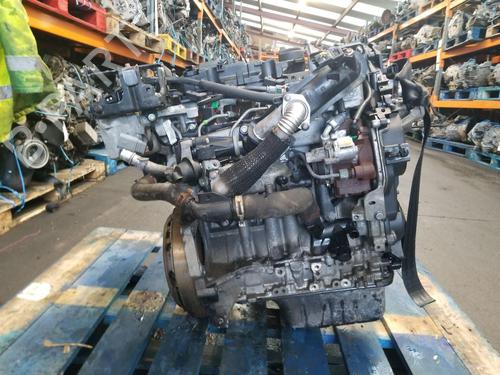 Engine FORD FOCUS III 1.6 TDCi | BP31842024M1