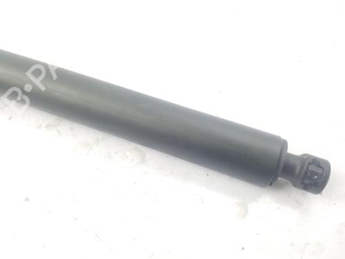 Tailgate lift support BENTLEY CONTINENTAL Coupe (3S3) 6.0 W12 AWD | BP39536819C138 - Image 2
