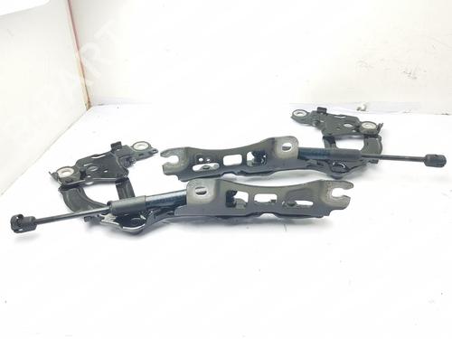 Used Hinge/Door check strap BMW 3 (G20, G80, G28) 320 i (184 hp) 27166884