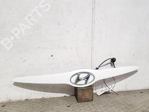 Tailgate handle HYUNDAI ix20 (JC) 1.6 | BP29549295C132 