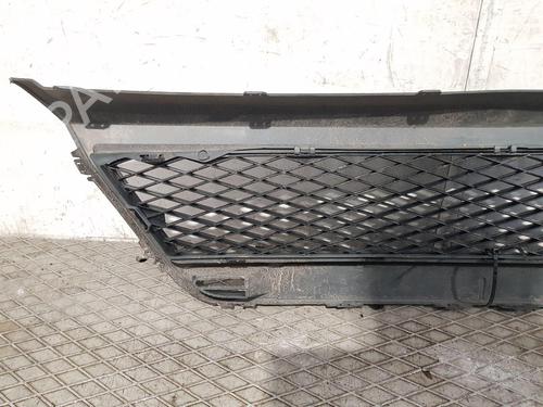 Grille FORD FIESTA V (JH_, JD_) ST150 | BP24173101C40 