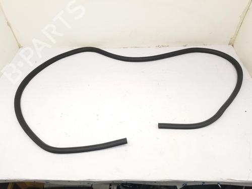 Gummiliste FORD USA EDGE [2014-2025]  27455392