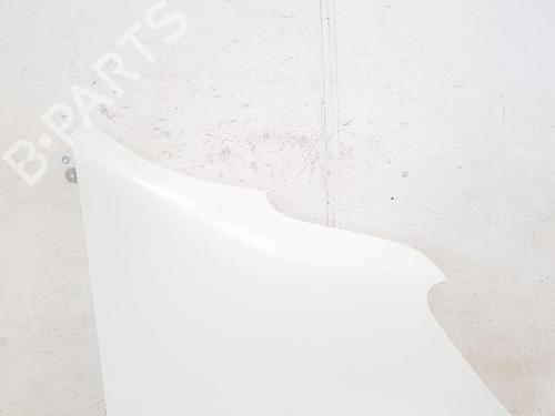 Right front fenders RENAULT MASTER III Van (FV)  | BP29045070C42 
