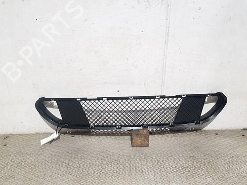 Used Grille BMW 5 Touring (E61) 525 d (197 hp) 29756012