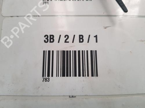 Engine RENAULT TWINGO II (CN0_) 1.2 16V (CN04, CN0B) | BP30138009M1