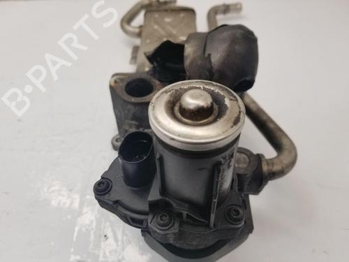 Egr SKODA FABIA II Combi (545)  | BP22668698M69 