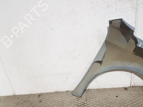 Left front fenders PEUGEOT 207 (WA_, WC_) 1.4 | BP30840053C41