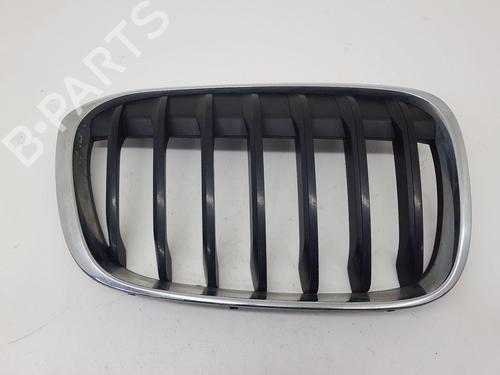 Used Grille BMW X1 (F48) sDrive 18 d (150 hp) 31574672