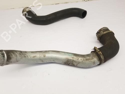 Intercooler pipe LAND ROVER RANGE ROVER III (L322) 3.0 D 4x4 | BP29839504M127