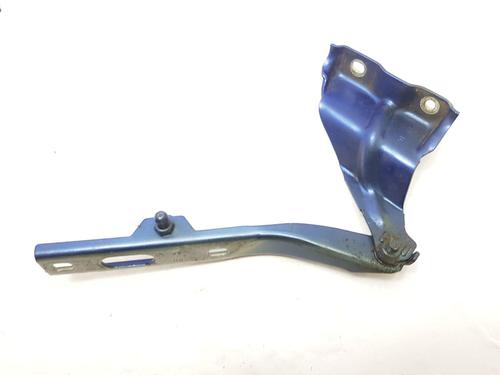 Hinge/Door check strap AUDI Q5 (8RB) 2.0 TDI quattro | BP29984269C146 