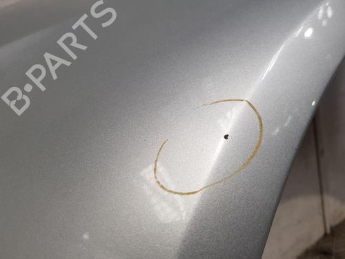 Left front fenders VW PASSAT B6 (3C2) 1.9 TDI | BP26569773C41 