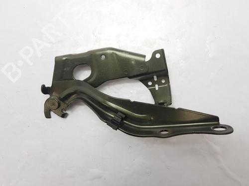 Hinge/Door check strap LEXUS UX (_AA1_, _AH1_, _MA1_) 250h (MZAH10) | BP30045264C146 