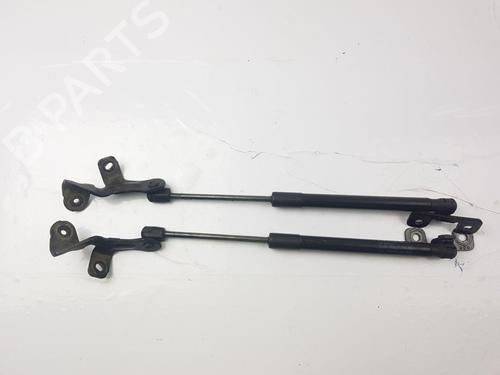 hood-lift-support-tesla-model-3-5yj3-2017-35746128 main image