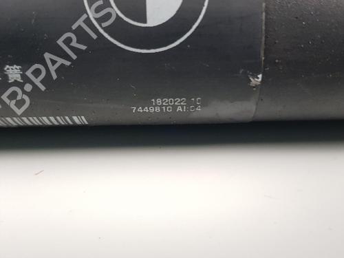 Tailgate lift support BMW X5 (F15, F85) xDrive 30 d | BP22680765C138