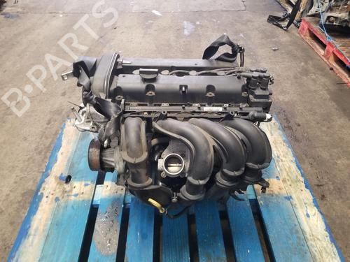 Moteur FORD FOCUS II (DA_, HCP, DP) 1.6 (100 hp) 31282553