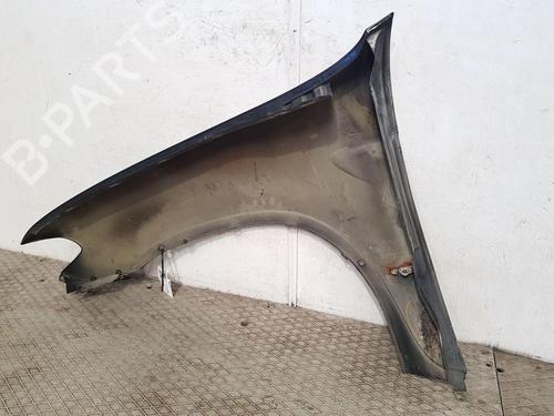 Right front fenders BMW X5 (E53) 3.0 d | BP25839782C42 