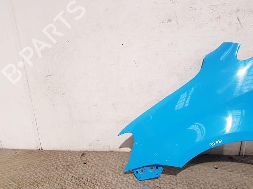 Left front fenders VW CADDY III Box Body/MPV (2KA, 2KH, 2CA, 2CH) 1.6 TDI | BP29597978C41 