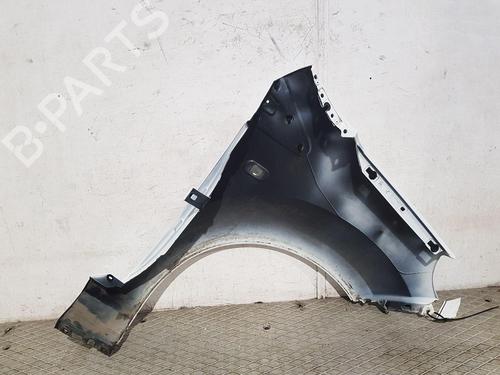 Left front fenders RENAULT TWINGO II (CN0_) 1.2 16V (CN04, CN0B) | BP29467573C41 