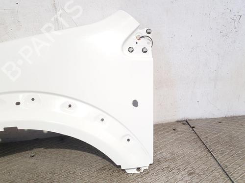 Left front fenders FORD TRANSIT CONNECT (P65_, P70_, P80_) 1.8 TDCi | BP29440338C41 