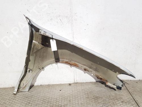 Left front fenders BMW X5 (E53) 3.0 d | BP29620215C41 
