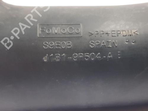 Pipe FORD FIESTA VII (HJ, HF)  | BP22672080M125 