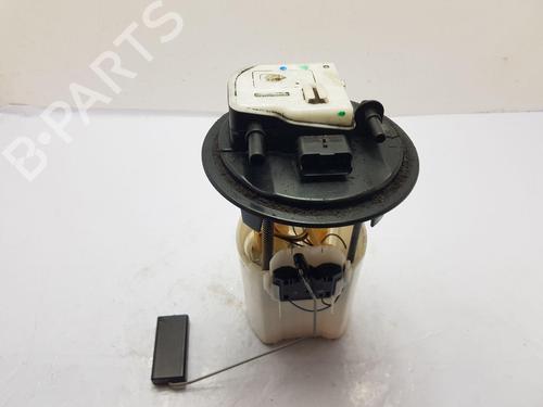 Fuel pump DS DS 3 (SA_) 1.6 BlueHDi 100 (SABHY0, SABHYT) | BP24130119M76 